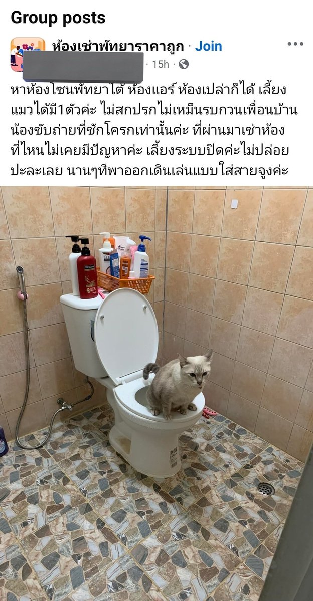 callmevns's tweet photo. เลื่อนฟีดเฟสเจอคนมาหาห้องเช่า ประเด็นที่กุโฟกัสคือ เค้าทำบุญด้วยอะไรนะ แมวเค้าถึงได้ขับถ่ายบนชักโครก 😂😂😂 https://t.co/wb6AyGecm1
