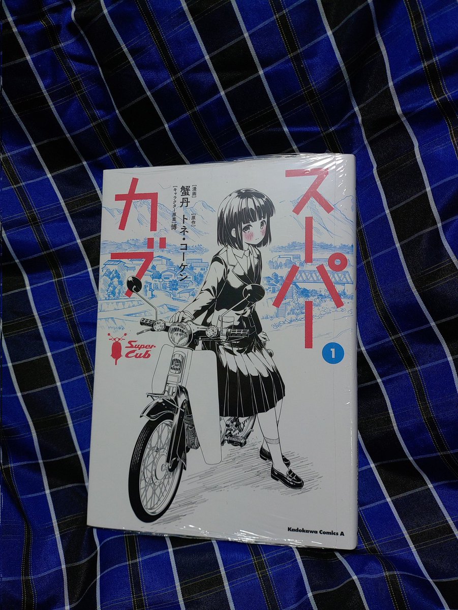 正月の読者に、と買いに行ったものの、誰ですか2巻と3巻だけを買ったのは。
おかげで続きが読めんですよ。