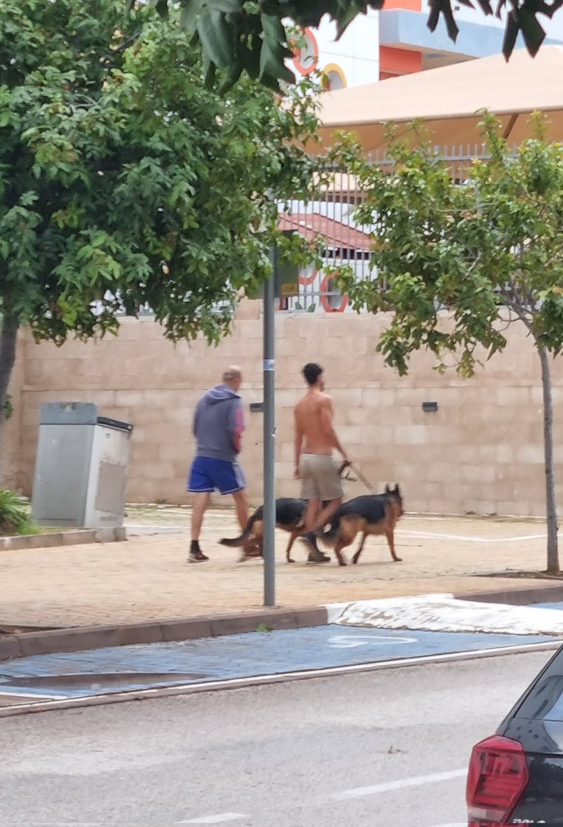 שלמה מזג אויר: הסופה בעיצומה
אחד השכנים: יוצא בלי חולצה