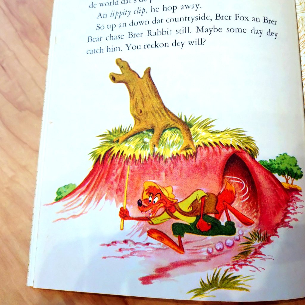 家の片づけをしていて久しぶりに見つけた スプラッシュマウンテンの