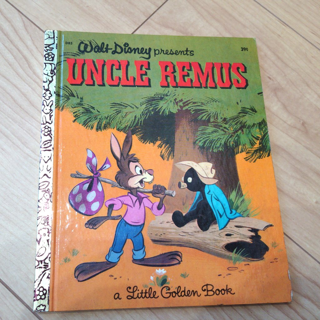 家の片づけをしていて久しぶりに見つけた スプラッシュマウンテンの