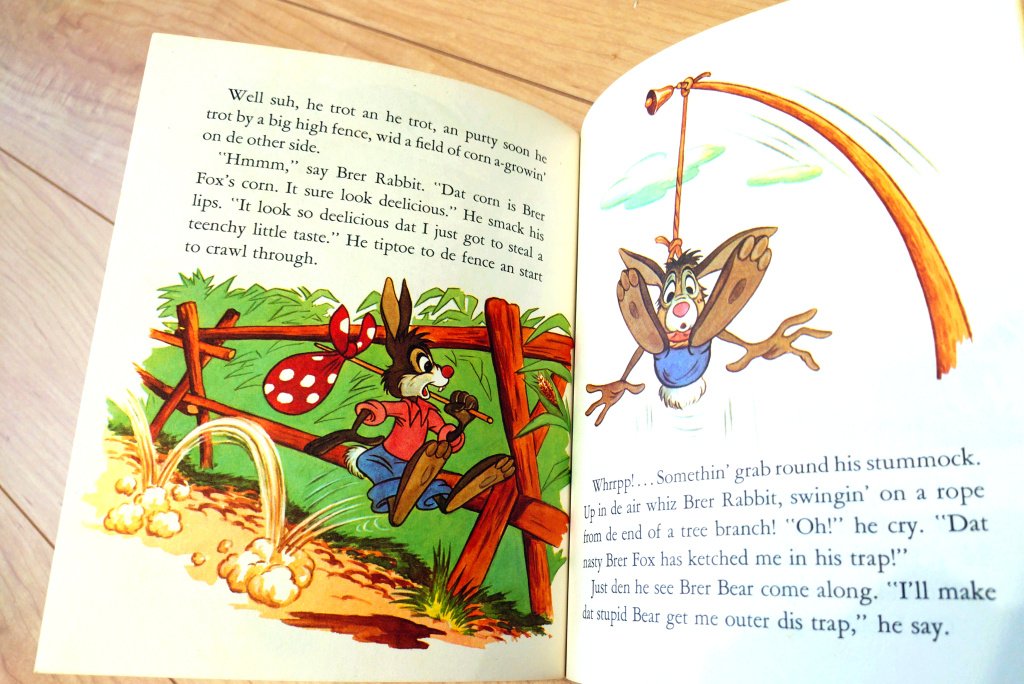 家の片づけをしていて久しぶりに見つけた スプラッシュマウンテンの