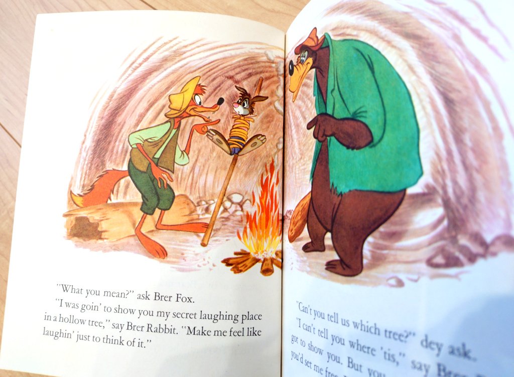 家の片づけをしていて久しぶりに見つけた スプラッシュマウンテンの