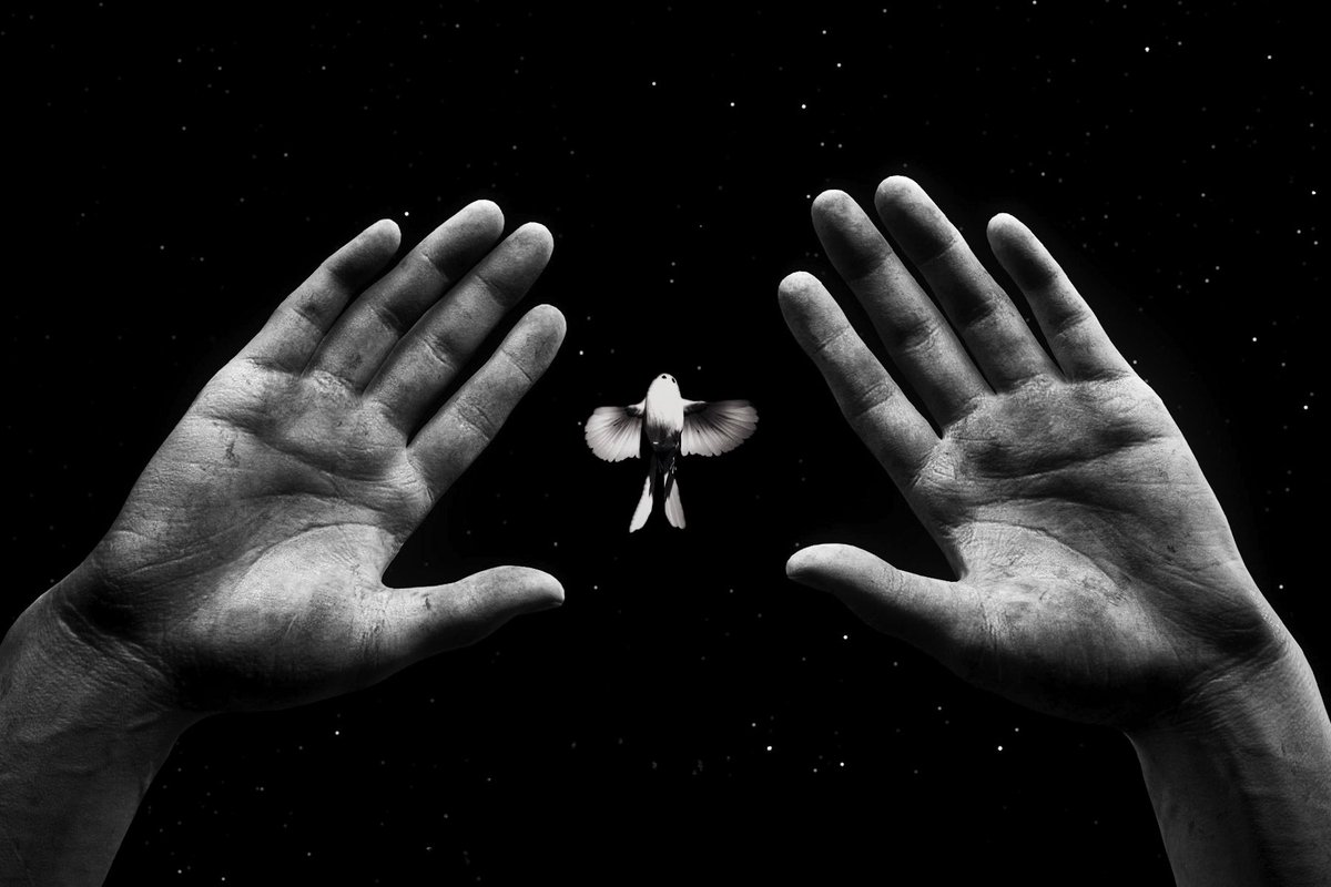 Edneyone 🎮📸 tweet media