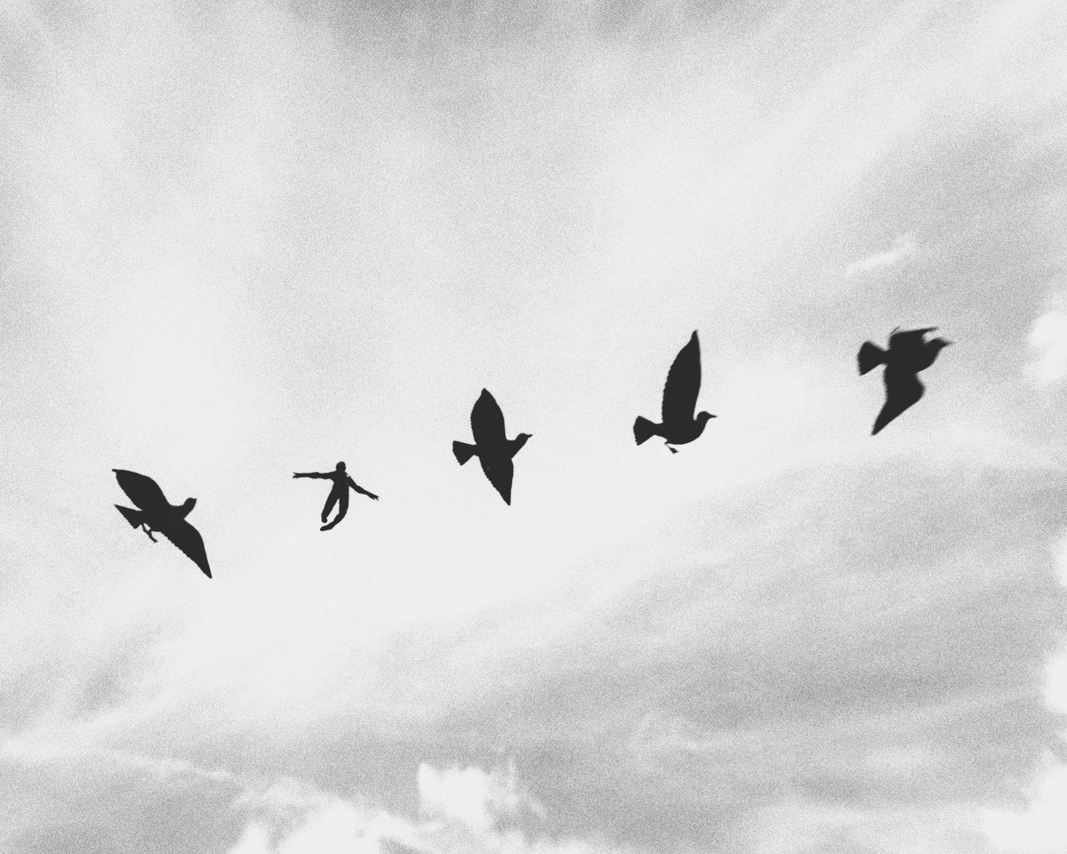 Edneyone 🎮📸 tweet media