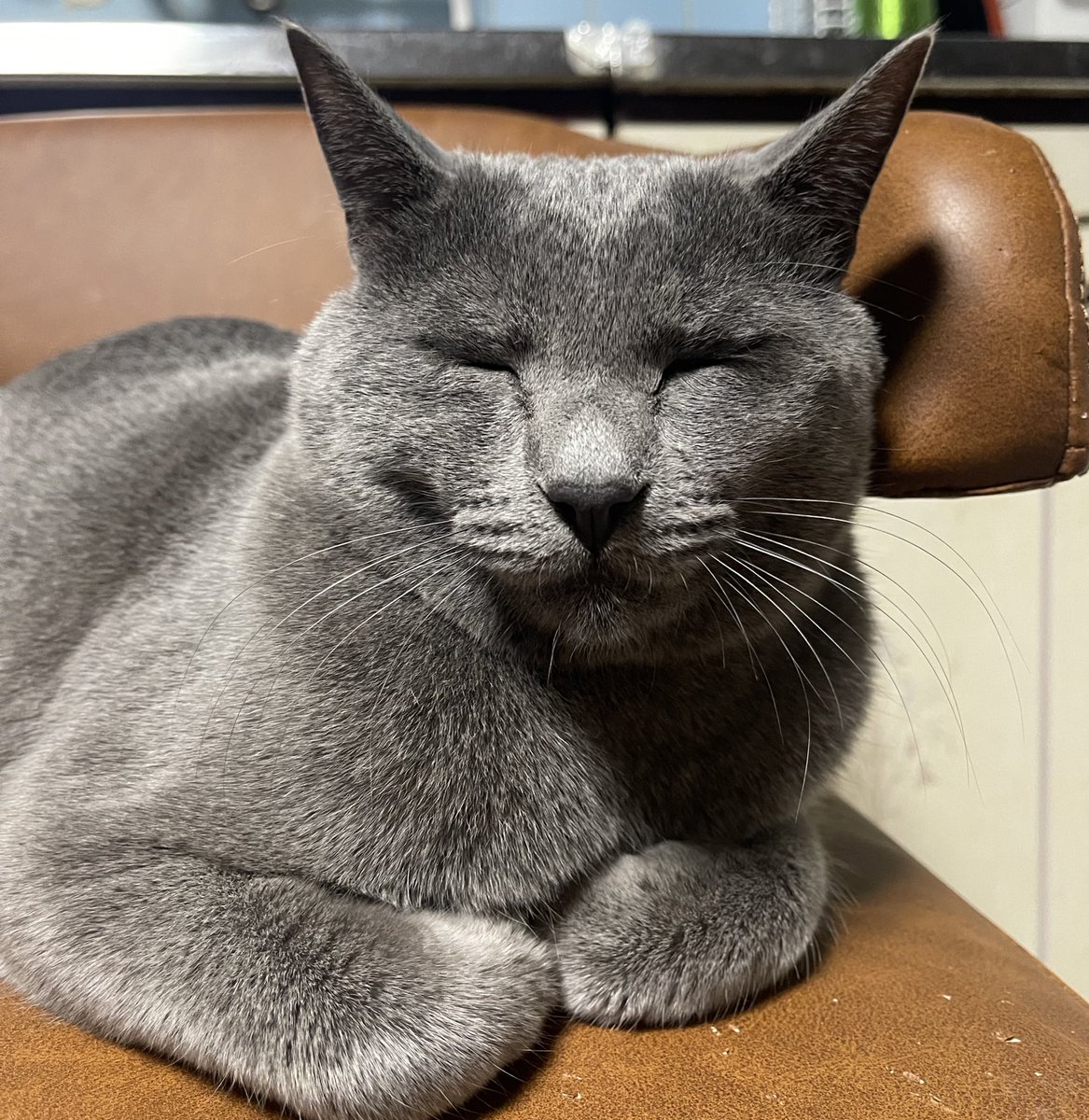 あけましておめでとうございます
本年もよろしくお願いします🙇‍♀️