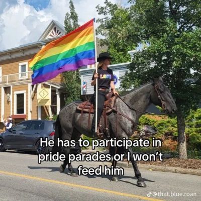 equine__dentist's tweet image. 