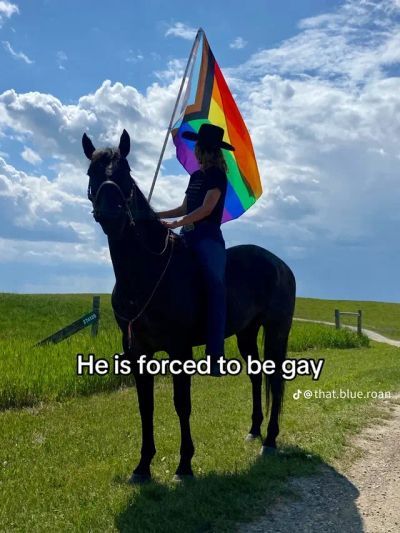 equine__dentist's tweet image. 