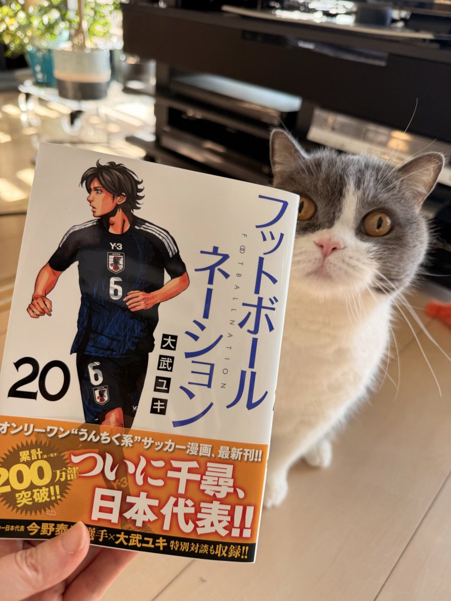 【ごぼう太郎】「フットボールネーション」〜20巻「サッカーボーイ」 Amazon.co.jp: フットボールネーション (20) (ビッグコミックス