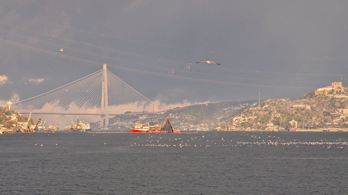oyilmaz's tweet photo. Yılın ilk günü İstanbul.

Her şeye rağmen dünyanın en güzel -bir daha yazayım abartılı bulan varsa en güzel- şehrinde yaşıyoruz.

Fotoğraflar hiçbir işlem yok. https://t.co/bvQ1yRXJ8f