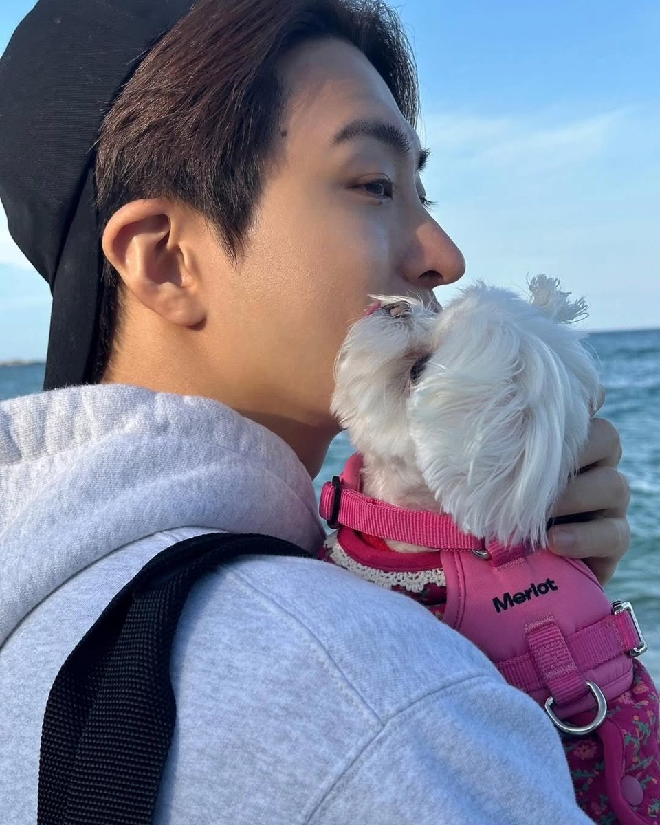 cyjprint's tweet image. 260102 | INSTAGRAM [kdsrescue] 

#Youngjae #영재 @ChoiArs_YJ #GOT7 

✨️GOT7 Youngjae @.333cyj333 ✨️
Thank you sincerely for the 30 million won donation

In the winter, when cold winds seeped through every corner of the shelter, a quiet helping hand reached out to warmly…