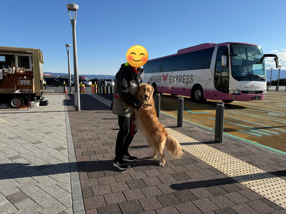 本日限定値下げ！新品　motto_dog 01 / X motto_kuma motto_kuma / K+M fabric model | FROM SCRATCH