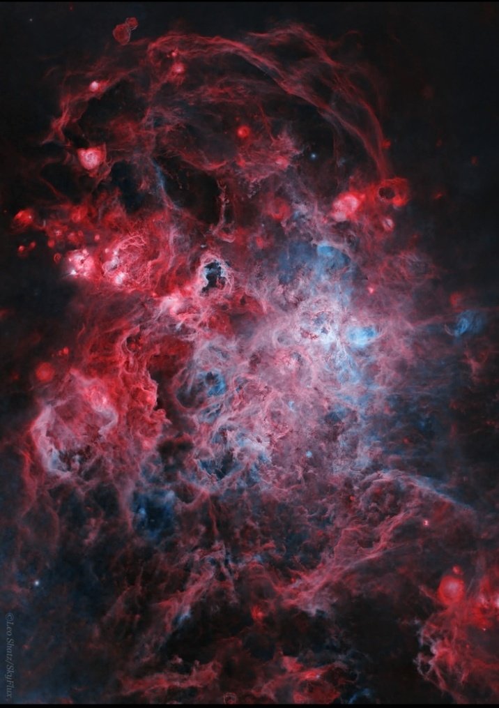 maiz_julio's tweet image. NGC2070 Tarántula nebula in the Small megallanic cloud by 📷 Leo Shat &amp;amp; Martín Puig.