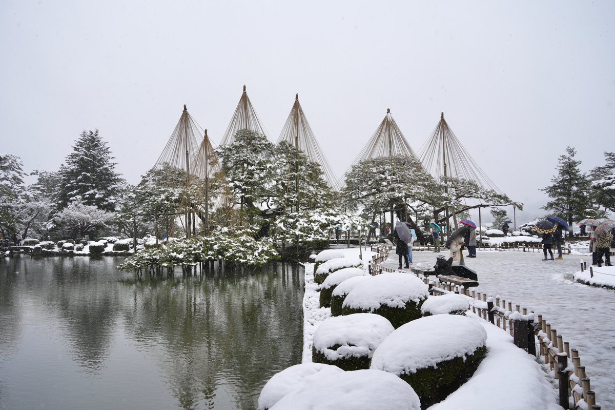 ふらっと金沢 tweet media