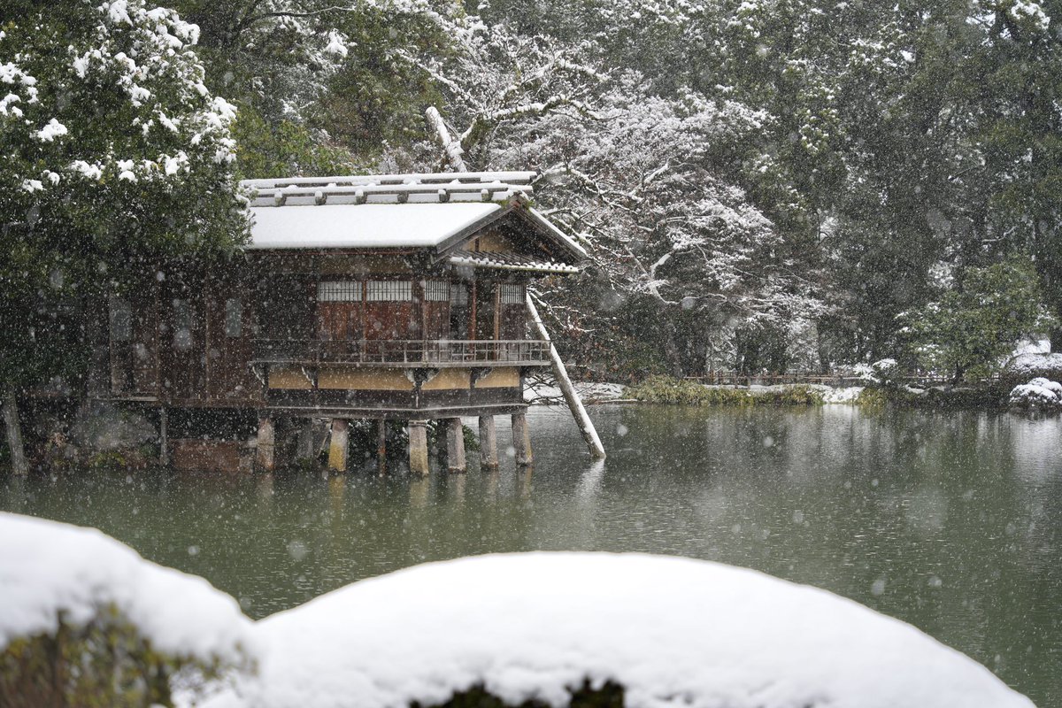 ふらっと金沢 tweet media