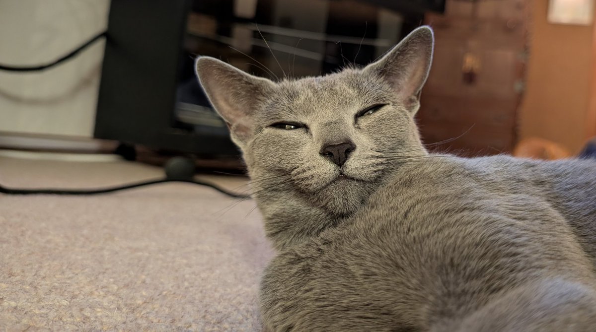 ロシアンブルーのシアン🐈‍⬛ (@kana_cosme123) / Posts / X