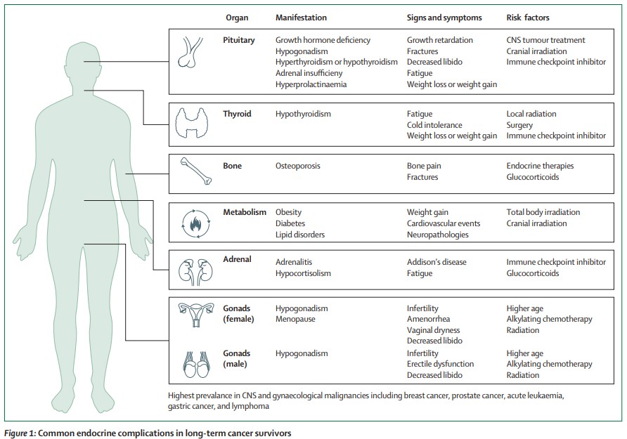 TheLancetEndo's tweet photo. Endocrine complications occur in 40–60% of survivors of cancer and include hypothalamic–pituitary disorders, dysregulation of steroid and peptide hormones, and dysregulation of bone and metabolism https://t.co/Vr9Ck8GMsp 
#OpenAccess https://t.co/TYzx4IgygL