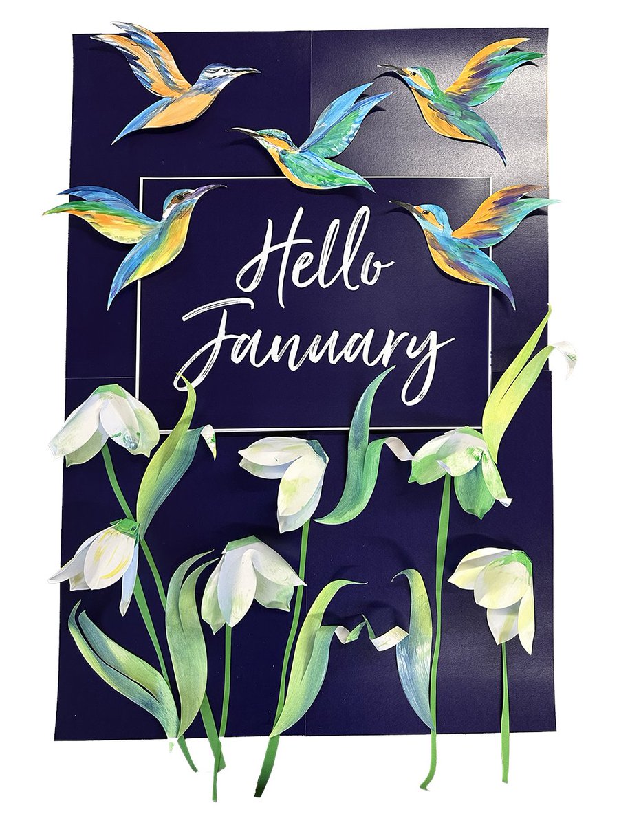 Creative Mojo Ltd tweet media