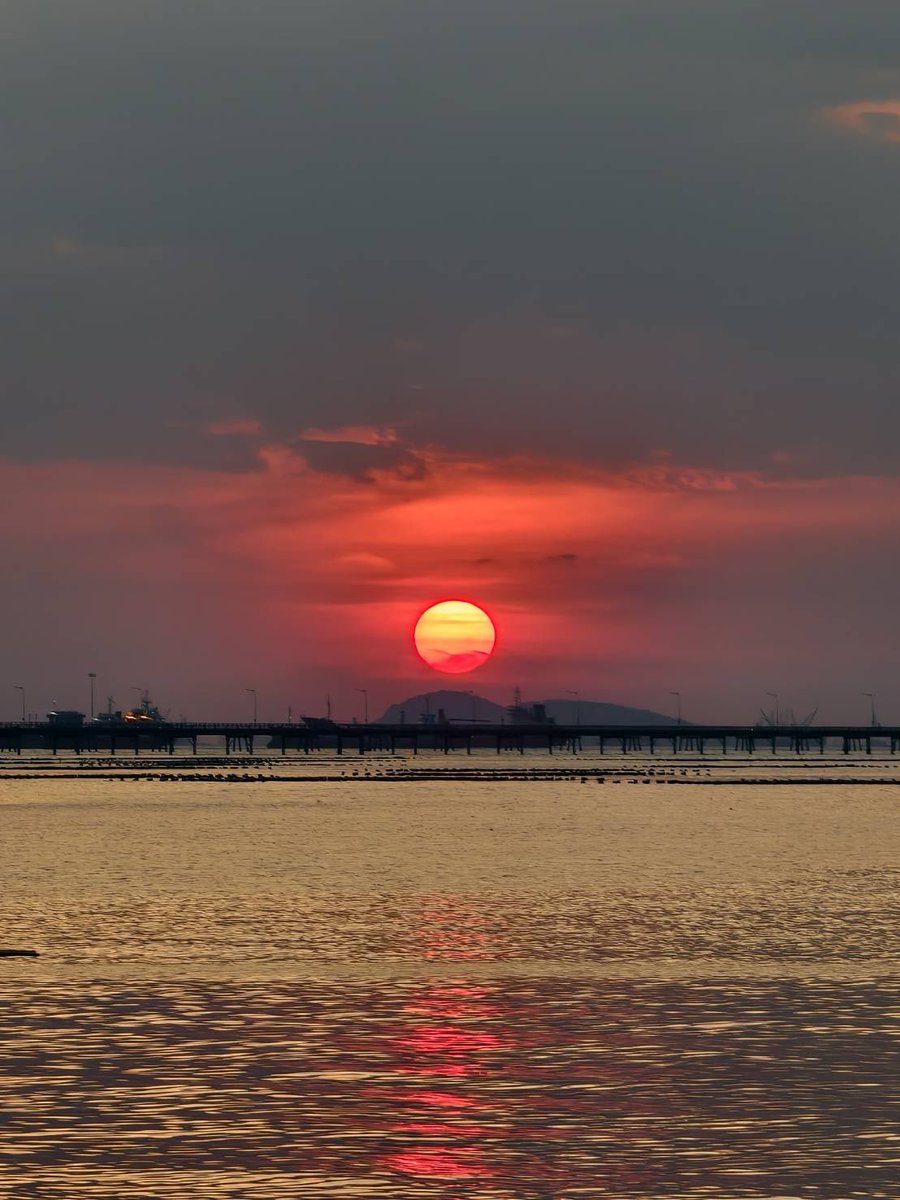 lovelyrubylove (@rugberry2) on Twitter photo 