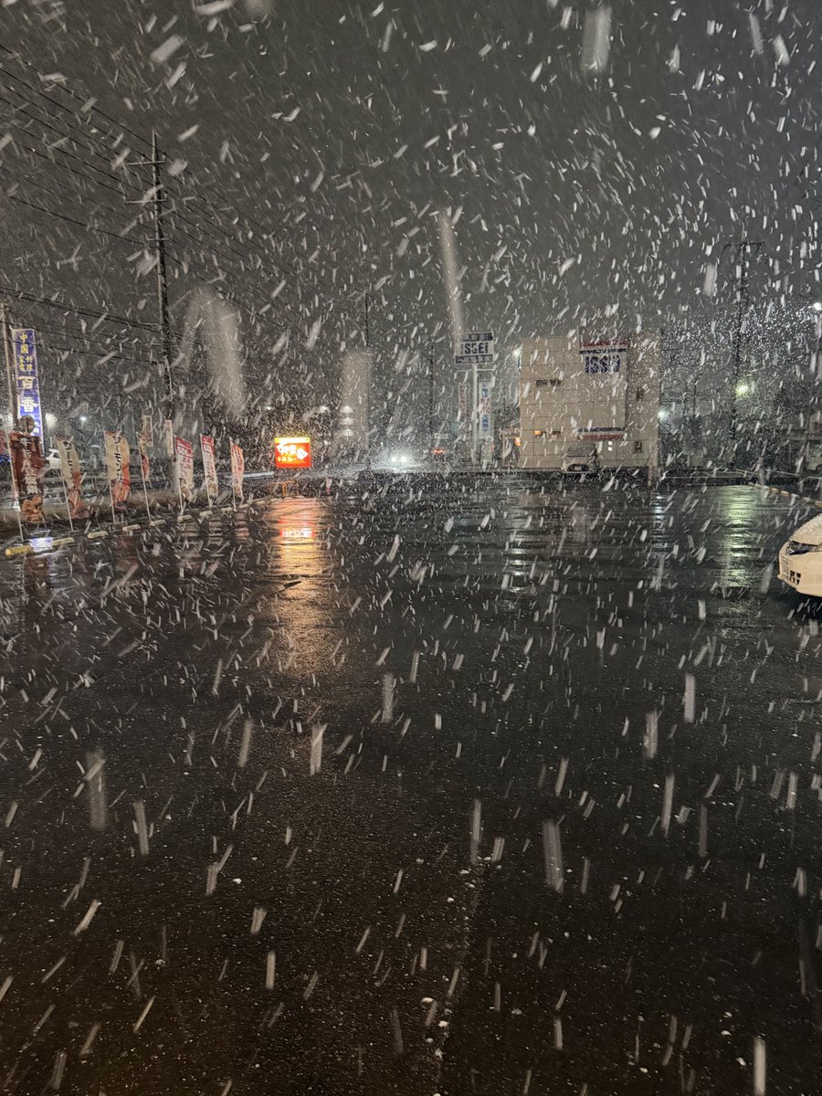 inte2's tweet image. 結構な雪だね、つもるか？