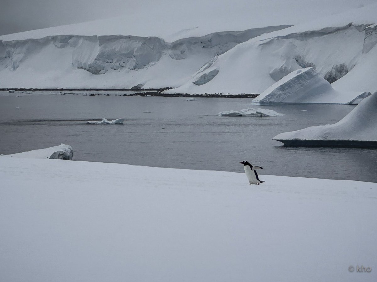 Er steht da, 
nicht 
um anzukommen, 
sondern 
um da zu sein. 

Vielleicht 
ist das 
die stillste Antwort 
auf die Frage 
nach dem Sinn…❄️