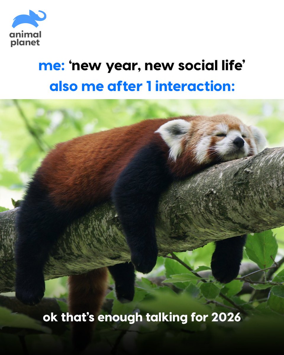 Animal Planet India tweet media