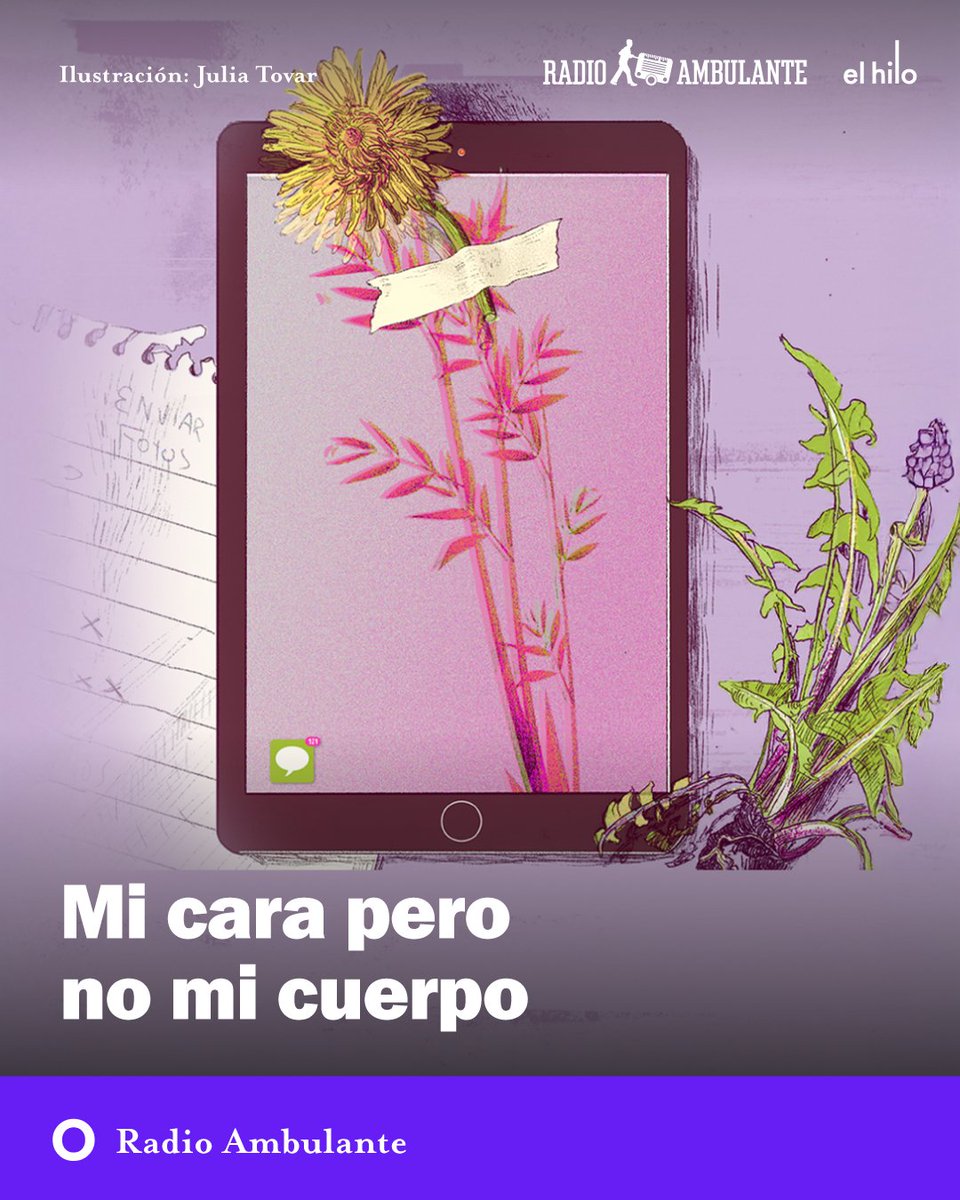 El hilo tweet media