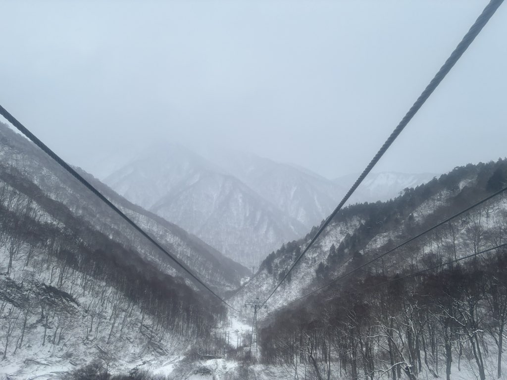 ICCHY8591's tweet photo. 雪を堪能してきた⛄️ https://t.co/bP7zaVGrP3