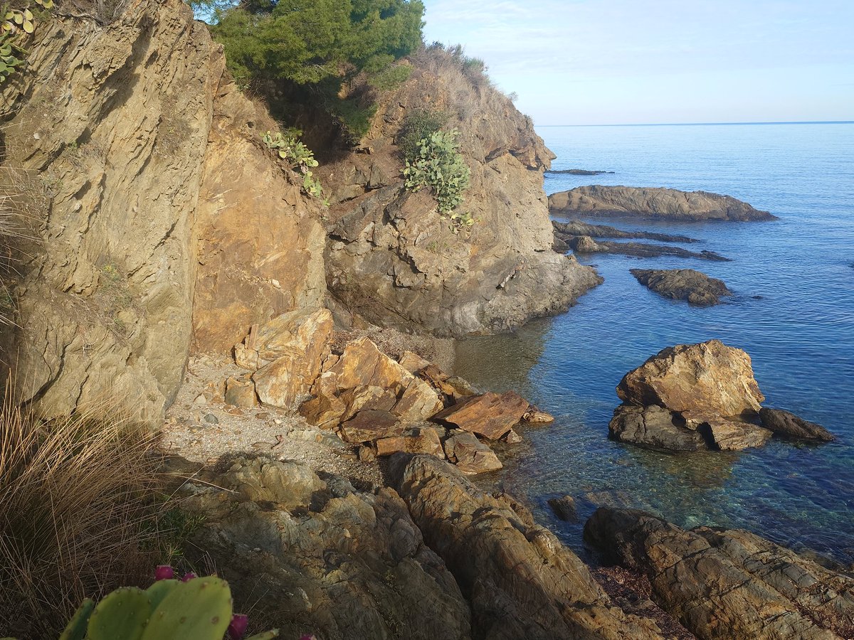 set mesos després d'aquest fet i amb una llevantada de 2a divisió fa una setmana, hem tornat a tenir sort amb una cala colgada a <a href="/elportdelaselva/">El Port de la Selva</a>.
A veure si el govern de tots <a href="/govern/">Govern de Catalunya</a> i el <a href="/miteco/">朝倉 絢</a> ens contesten alguna de les nostres sol-licituds abans no prenguem mal.