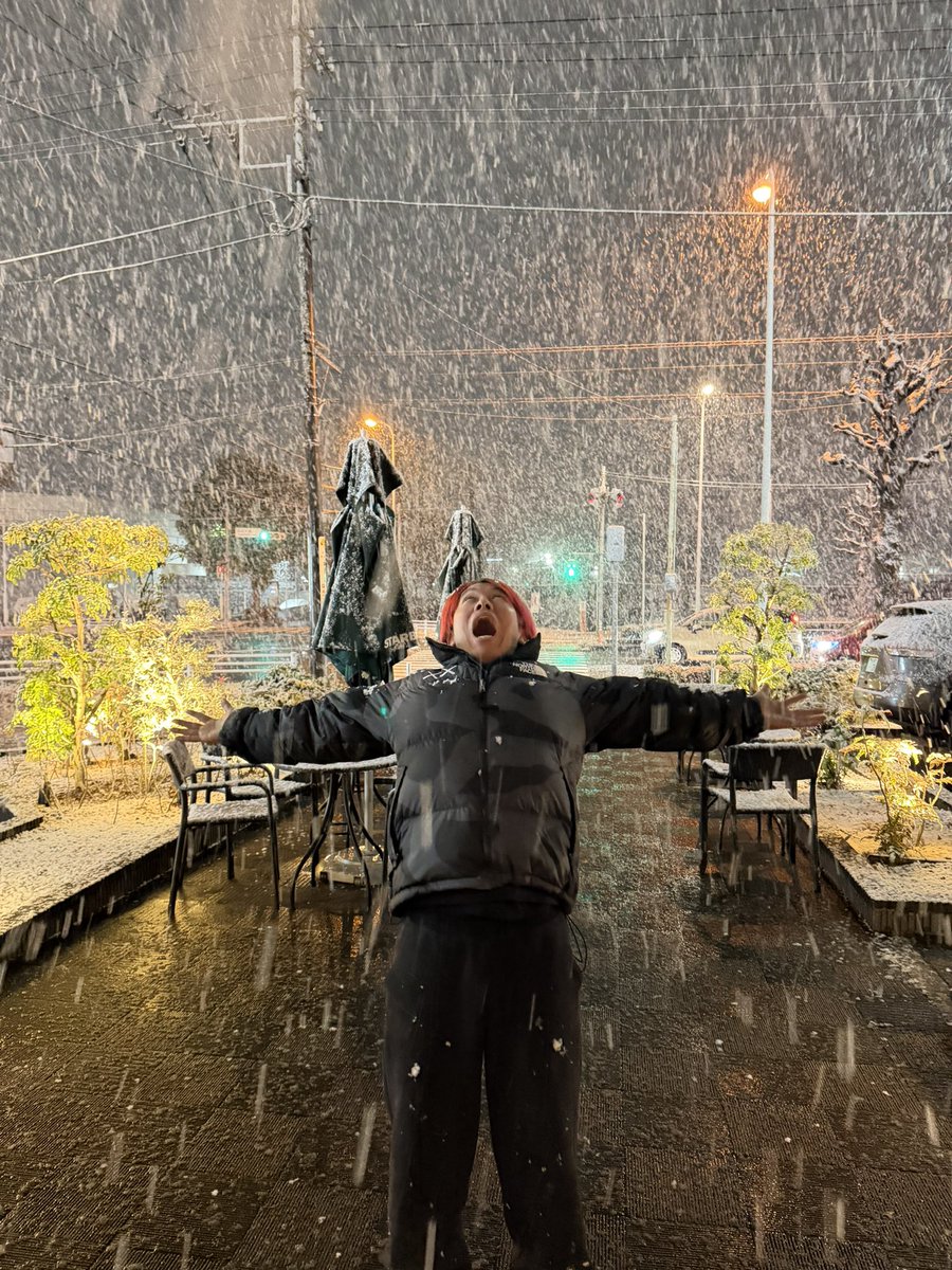 LiaqN 🦁 tweet media