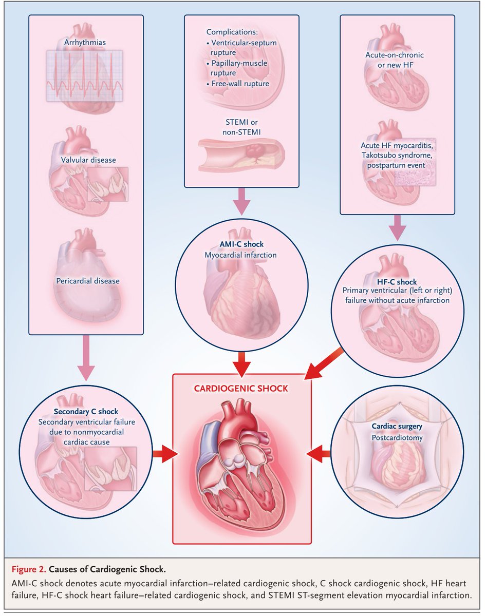 Consejo de Cardiología Clínica y Terapéutica🩺 SAC tweet media