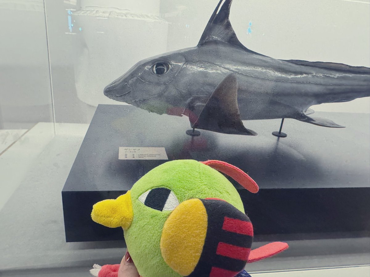 ネイティみたいな魚いた