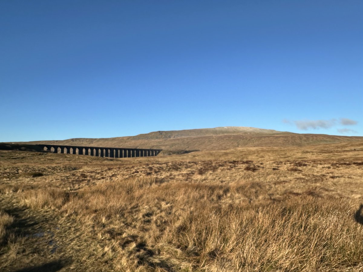 Sam Batty tweet media