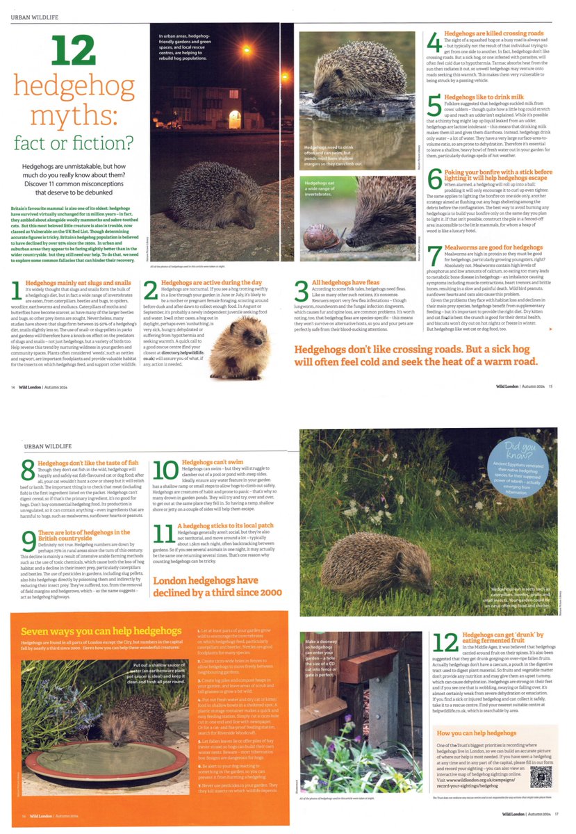 HedgehogCabin's tweet image. Wild London David Attenborough
I'm getting so many posts from lovely people absolutely outraged at the misinformation regarding hedgehogs and slugs presented on this show yesterday, so I'll just address it here.
David Attenbourough is a really lovely man, and has done an immense…