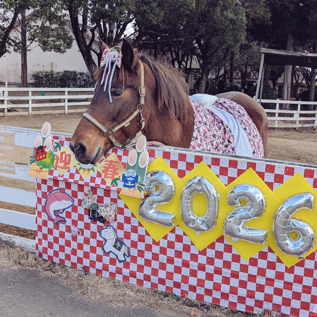 ハムちゃん (@10hamuchan10) / Posts / X