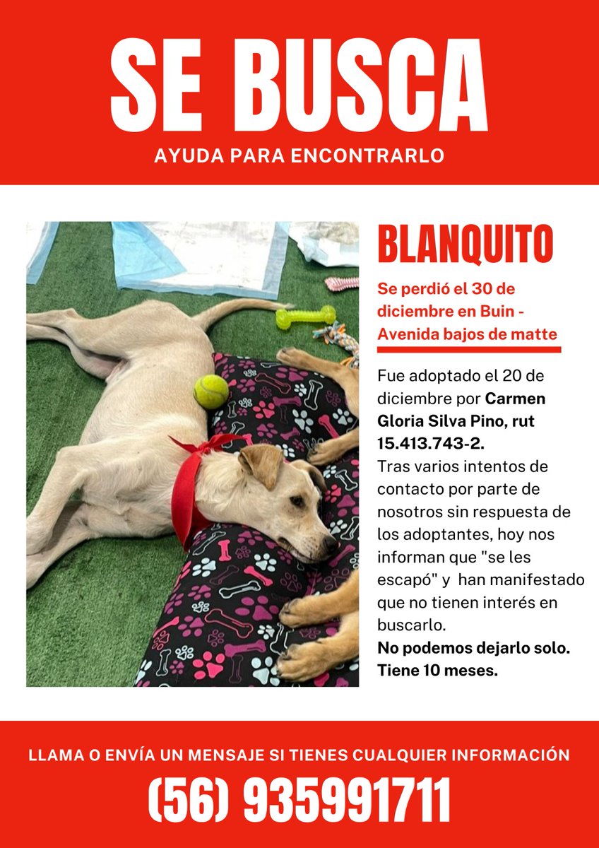 Posiblemente vieron a blanquito por pasaje oscar jimenez zuñiga de buin. Estamos tratando de contactarnos, la persona me dejo un pantallazo pero no encuentro la publicación. Sigan difundido por favor. #buin <a href="/somos_buin/">Somos buin</a>