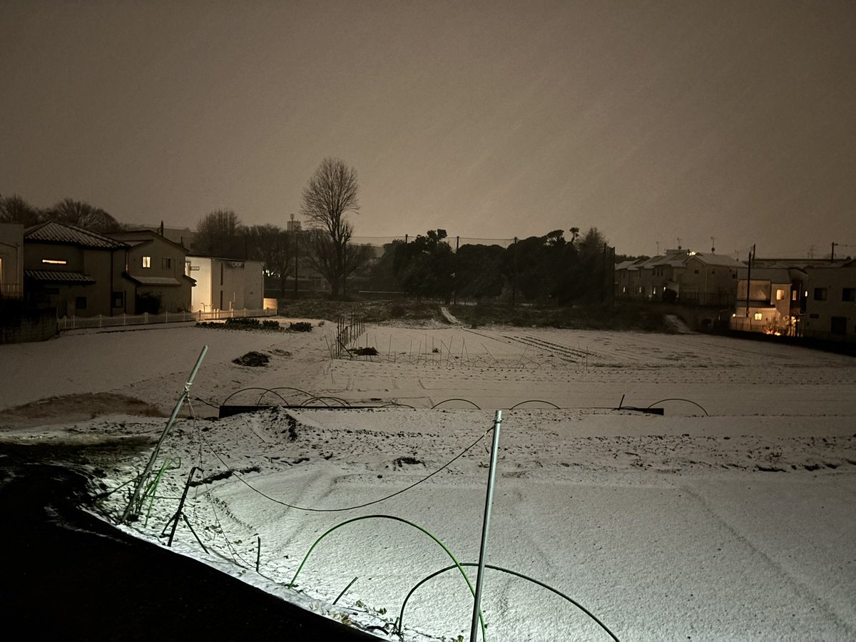 nykcyan's tweet photo. 船橋市は雪が降っています。 https://t.co/ckOLwApKyN