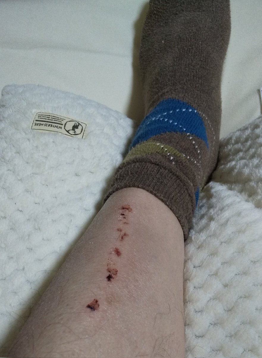 ひで😅 tweet media