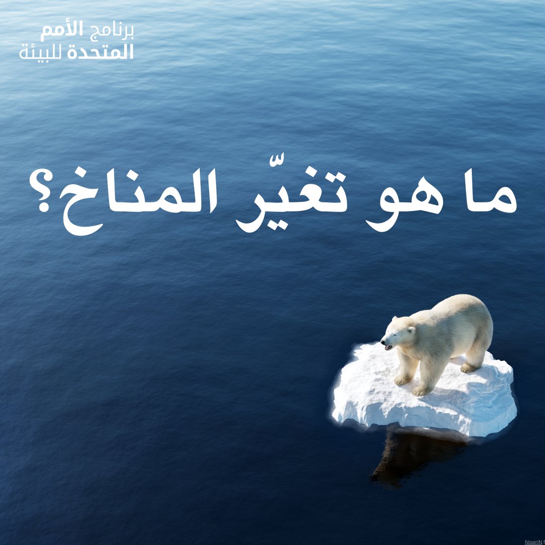 برنامج الأمم المتحدة للبيئة tweet media
