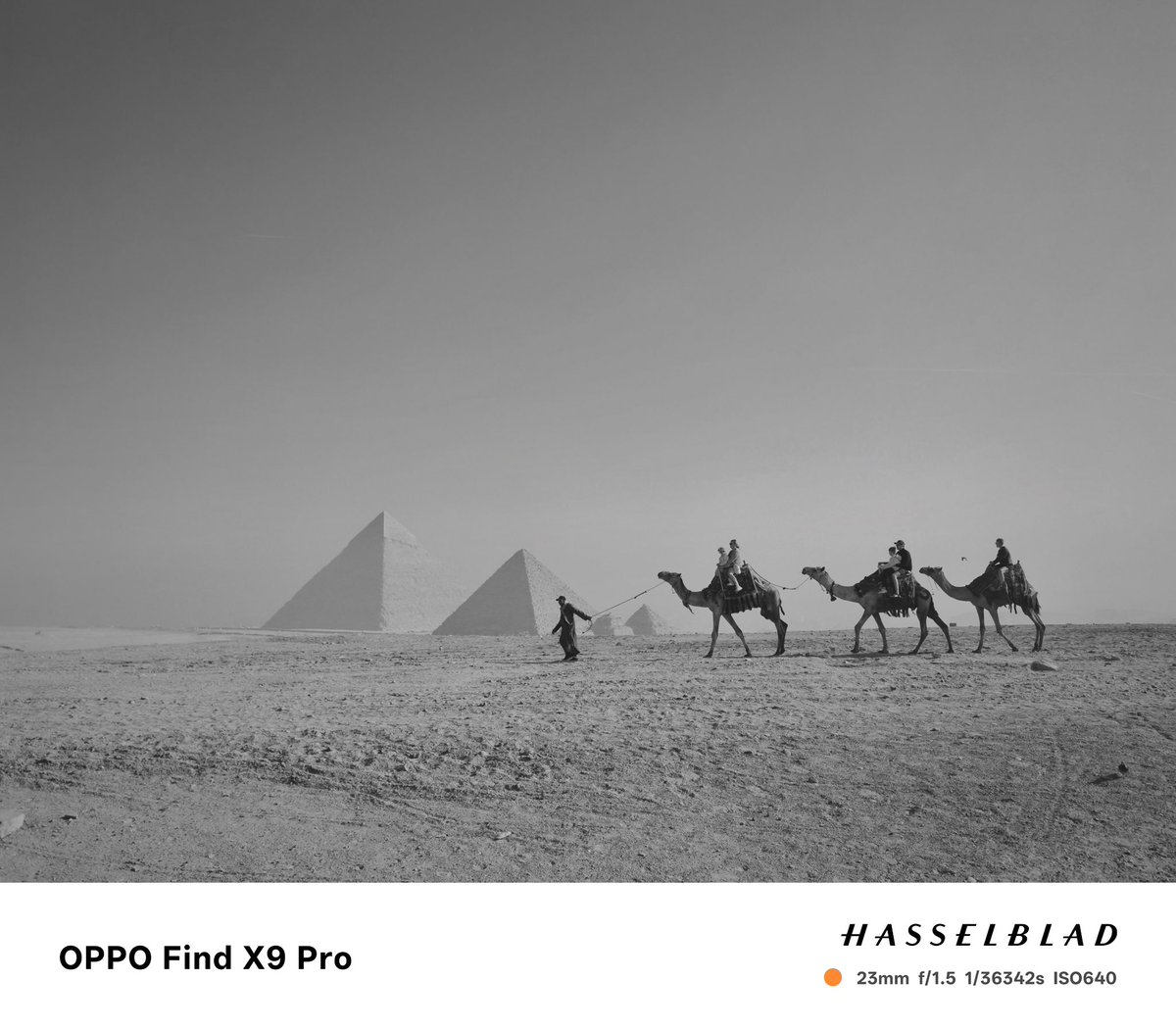 من أهرامات الجيزة في مصر
والتصوير من خلال كاميرا الجوال 

  Oppo Find  X9 Pro | HASSELBLAAD