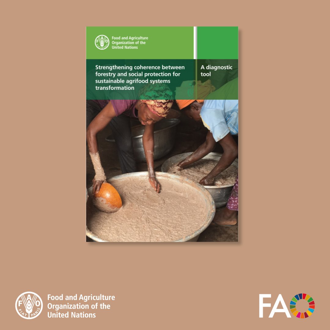 Forests play a key role in sustaining the livelihoods of rural and forest-dependent communities. 

A new <a href="/FAO/">Food and Agriculture Organization</a> diagnostic tool evaluates how well forestry and social protection policies align to improve the lives of forest-dependent communities.

🔗 doi.org/10.4060/cd7631…
