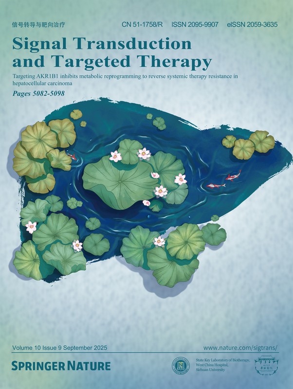sigtrans_sttt's tweet photo. Scientists report #MetabolicReprogramming drives #DrugResistance in #HCC; AKR1B1 is a key regulator tied to poor prognosis, while #Epalrestat restores response, marking AKR1B1 as a #biomarker. @Tsinghua_Uni
#CoverPage in #STTT: https://t.co/FJ0URznlnm https://t.co/JOzbm3nsr8
