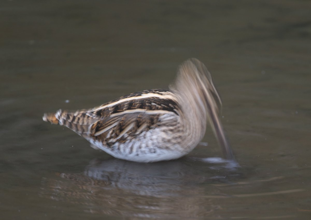 うおおおおおおおお