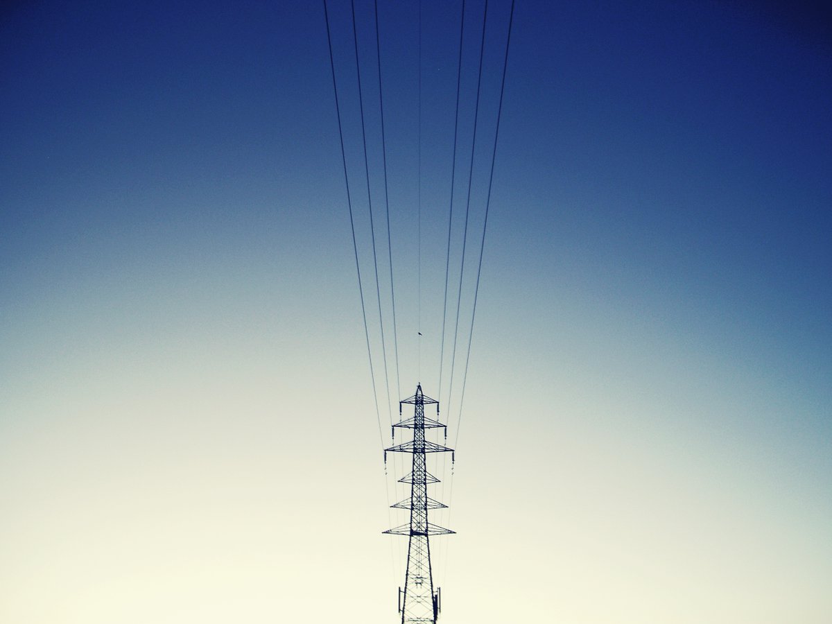 とん店 / Ton Mise tweet media