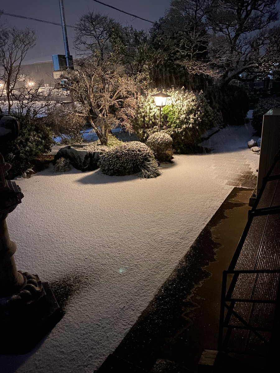 msy2701123's tweet photo. 雪だーー❄️❄️❄️❄️
これ以上降らないでー https://t.co/NxemVwcYqS