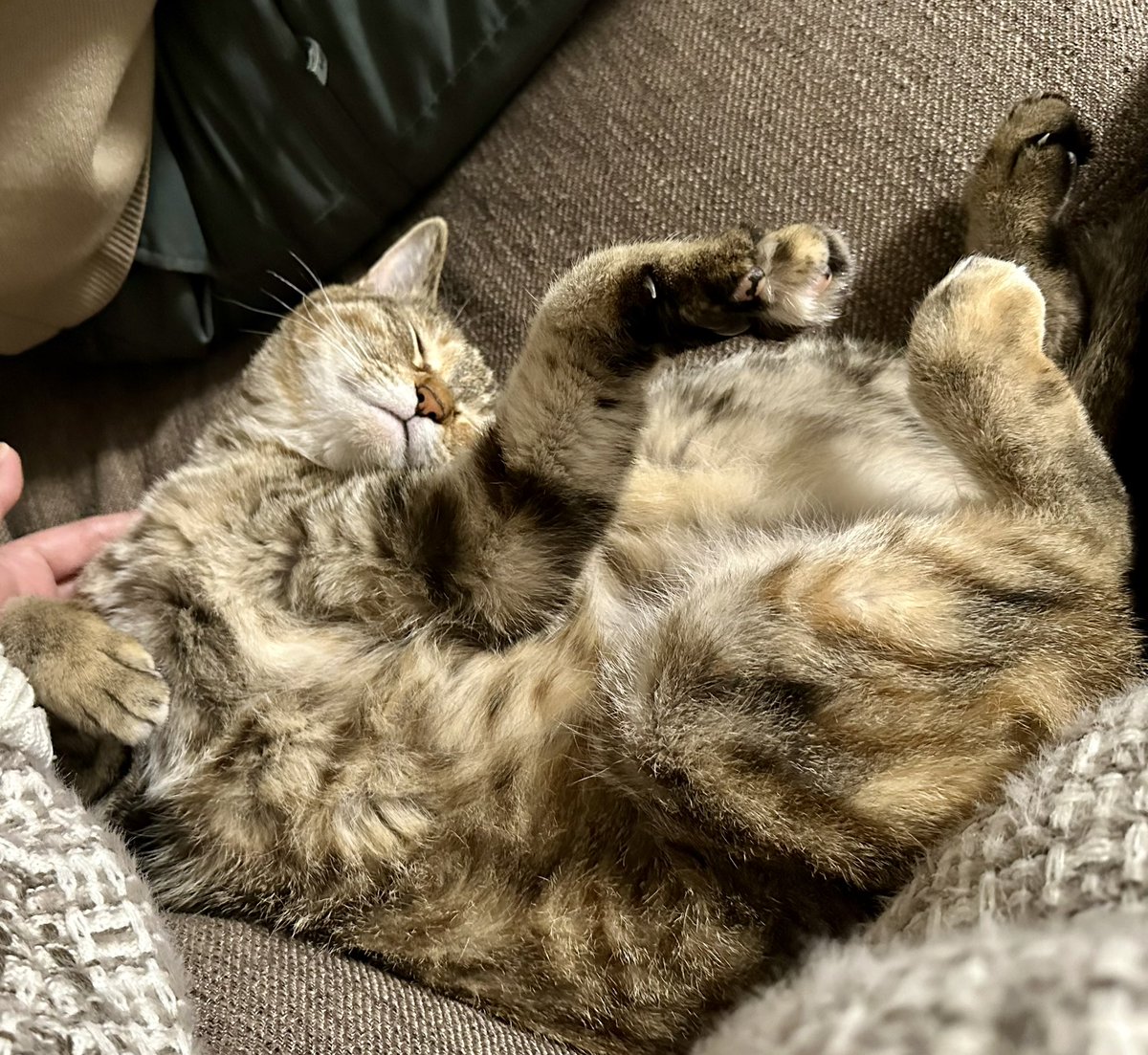 muu◆プロフィールをお読みください プロフ必読。 プロフ必読専用 M♡プロフ必読 専用 M＊プロフィール必読