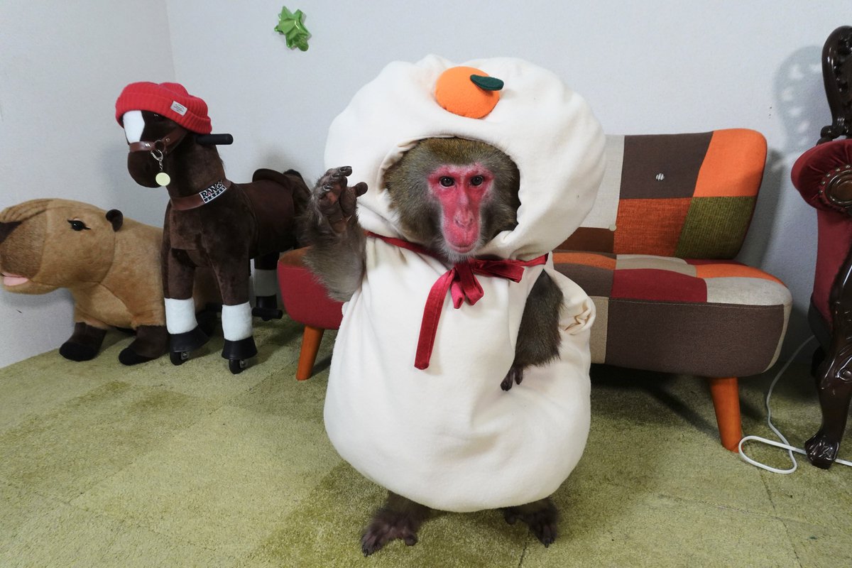 プーキーズ (@pookieskuroda) / Posts / X