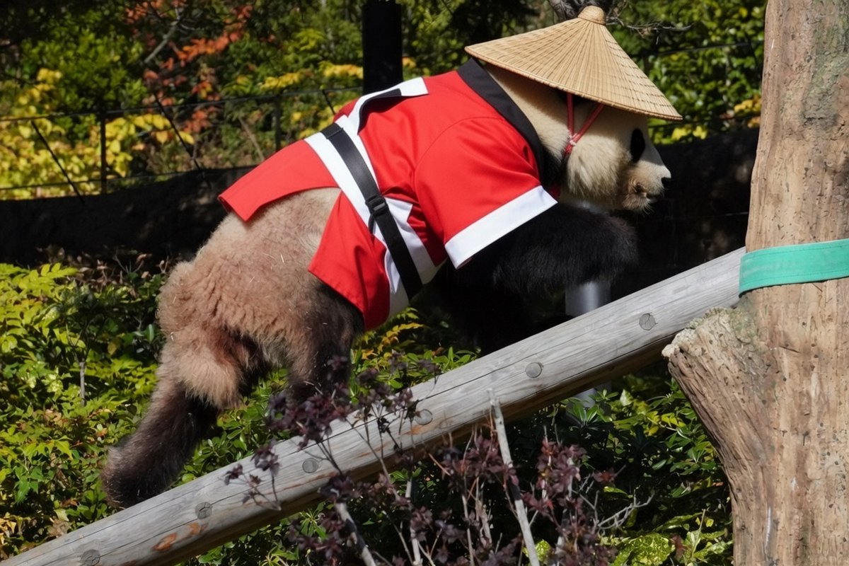 💚『ぼくちん江戸っ子でつから、出初式の練習でつ』