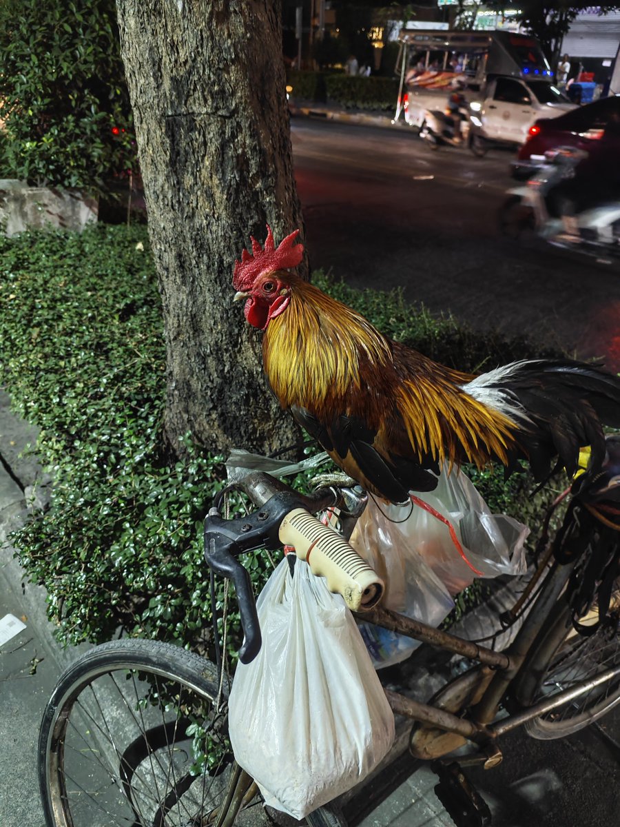 I found my boy on the streets of Bangkok.. <a href="/ARCRaidersGame/">ARC Raiders</a>