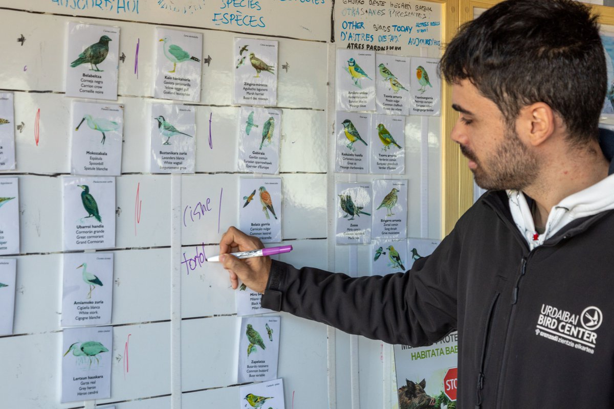 🐦🌍 2026. urtea naturarekin konektatuko zaituen plan batekin hasiko dugu.
✈️🪶 Ezagutu Urdaibai Bird Center, Urdaibaiko hegaztien aireportua: Hegaztiek erritmoa markatzen duten Biosfera Erreserbaren bihotzean dagoen museo bizia. Zatoz bisitatzen gaituzten hegazti espezieak,